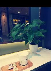 点击看大图 -木北造型