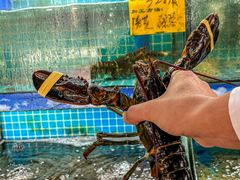 -坛南湾农家乐·海鲜楼·大排档(平潭坛南湾店)