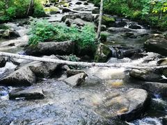 -汤旺河林海奇石景区