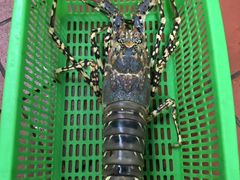 -华兴大酒楼(亿宝大厦店)