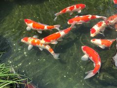 -贵阳高新惠诚食品有限公司