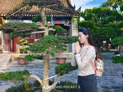 -大慈恩寺(大雁塔)