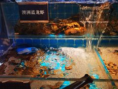 -渔纬港海鲜自助餐厅(湖里万达店)