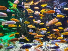 -太平洋海底世界