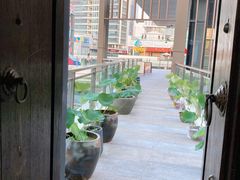 -道南書院·私房菜·早午茶·茶馆