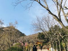 -石老人观光园