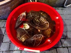 -客家大院·非遗赣南客家菜(郁孤台店)