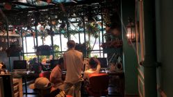 点击看大图 -金棕榈