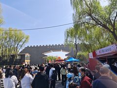 -洛阳市隋唐城遗址植物园