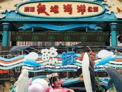 -海合安成都极地海洋公园