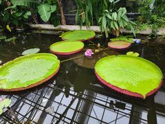 -国家植物园南园