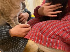 -萌喵宠狗爱心宠咖