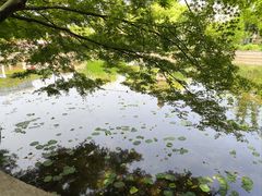 -嘉定紫藤园