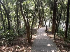 -广州市帽峰山景区