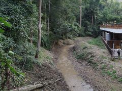 -西双版纳原始森林公园