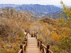-大岭沟猕猴桃谷风景区