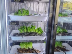 -33韩式自助烧烤(环城南路店)