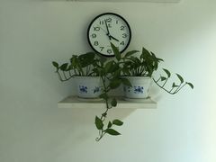 -百家康养生馆(龙口西店)