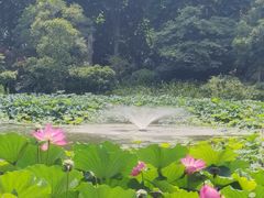 -河南省黄河迎宾馆