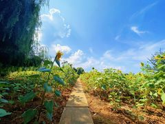 -月亮湾湿地公园