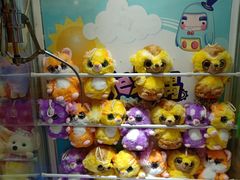 -PAWTOY爪e玩偶店(天兴罗斯福店)