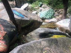 -黑龙潭风景区