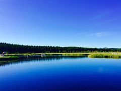 -塞罕坝国家级自然保护区