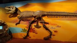 -北京科学中心儿童乐园