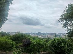 -潜山国家森林公园
