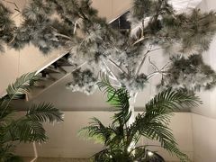 -金香匯晚茶(浑南店)