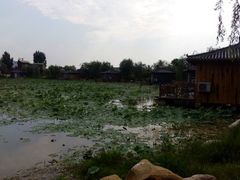 -灵山莲花公园-温泉度假区