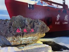 -海合安青岛极地海洋公园