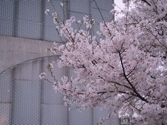 -龙美术馆(西岸馆)
