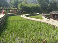 -龙头寺公园