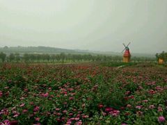 -北纬44度·金珠花海休闲农业旅游景区