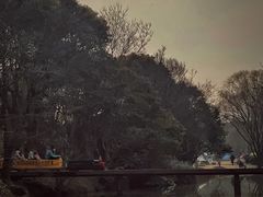 -上海滨江森林公园