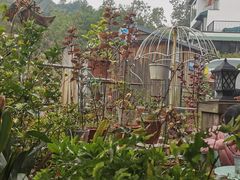 -兰桂坊·花园餐厅(西湖店)