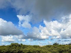 -红树林天天赶海