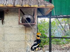 -深圳野生动物园