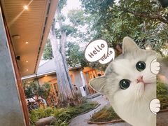 -Chom Cafe and Restaurant