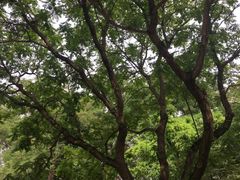 -玲珑塔公园