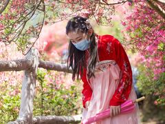 -木兰云雾山