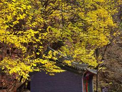 -湖洞水自然风景区