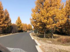 -塞罕坝国家级自然保护区