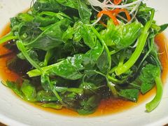 -苹果树下艺术餐厅(宋庄店)