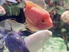 -太平洋海底世界