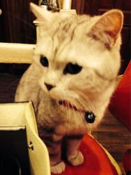 点击看大图 iphone_upload_pic-TWOFACE双面理发馆