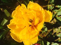 -长春公园(普阳街道)