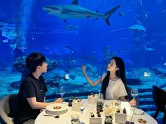 -亚特兰蒂斯•OSSIANO奥西亚诺海底餐厅