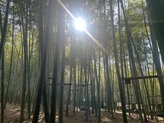 -陶祖圣境风景区